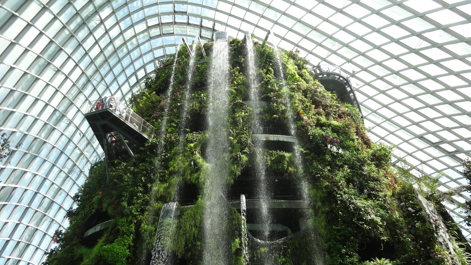 The Bayou Botanist The Garden City Singapore