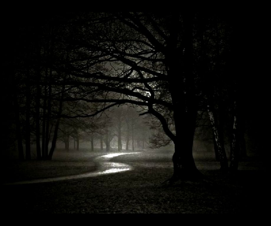 Dark Forest Night Related Keywords Suggestions Dark Forest Dark Forest Night Related Keywords Suggestions Dark Forest