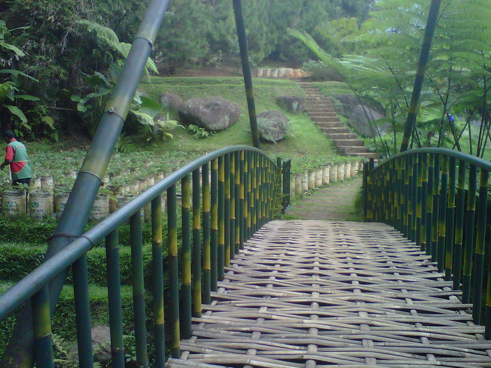 Asep Strawberry | SPUTNIK SWEETHEART