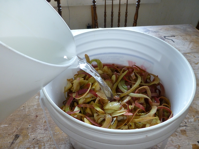 Rural Revolution Making fruit scrap vinegar