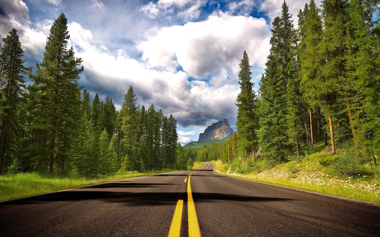 our open road our open road