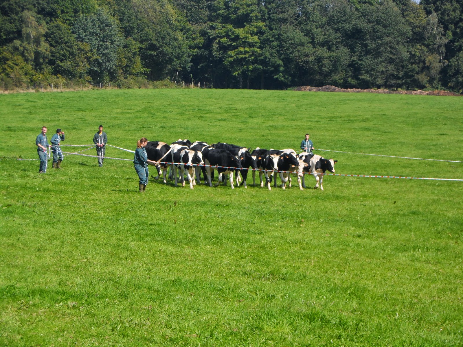 rencontre des ardennes