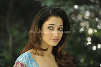 Tamanna, hot, milky, thigh, and, navel, show