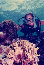 Diving in the Blue Hole area (Guam)