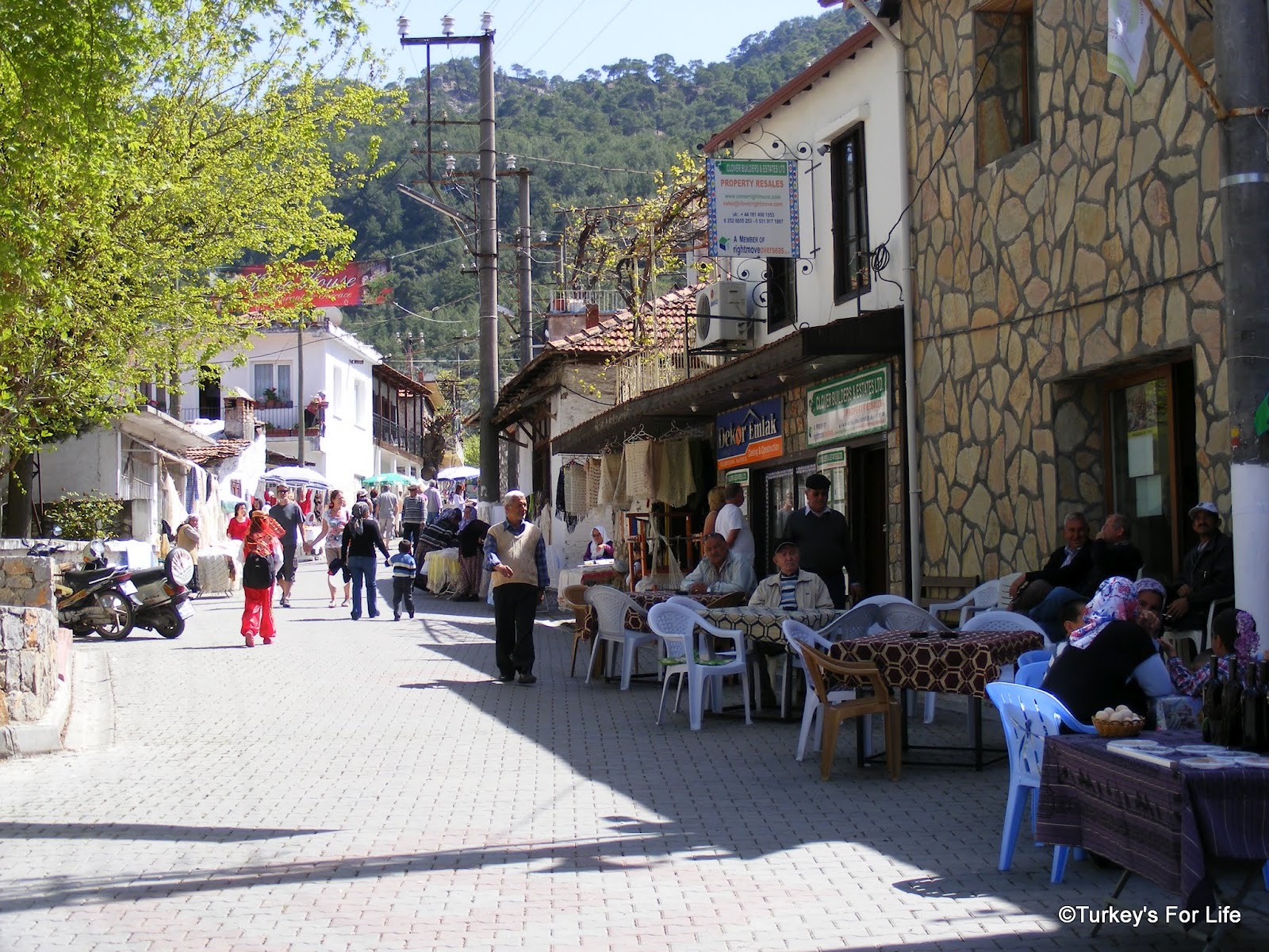 Üzümlü Mushroom Festival The Opening Ceremony • Turkey's For Life