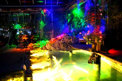 dominantes paar sucht swingerclub bekleidung dominantes paar sucht swingerclub bekleidung