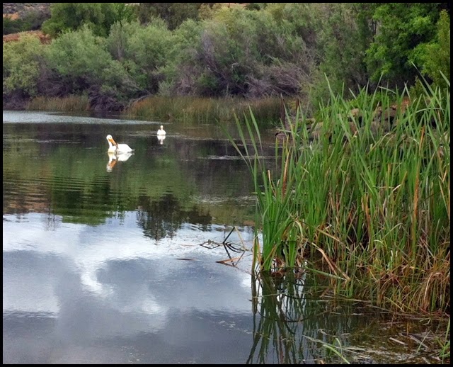Camping Along I5 Iron Gate Reservoir and Campgrounds