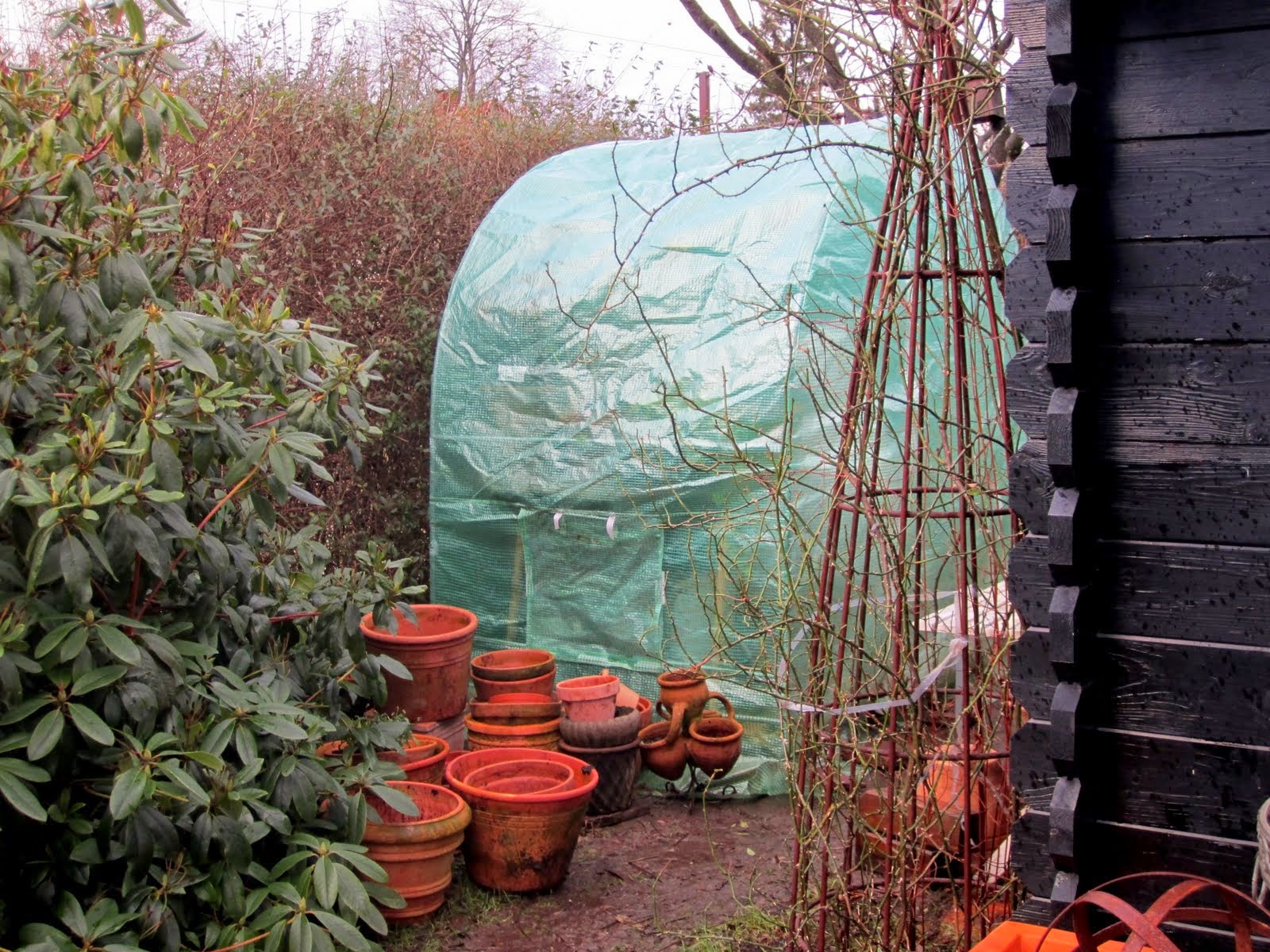 Nettes lille have: januar 2015