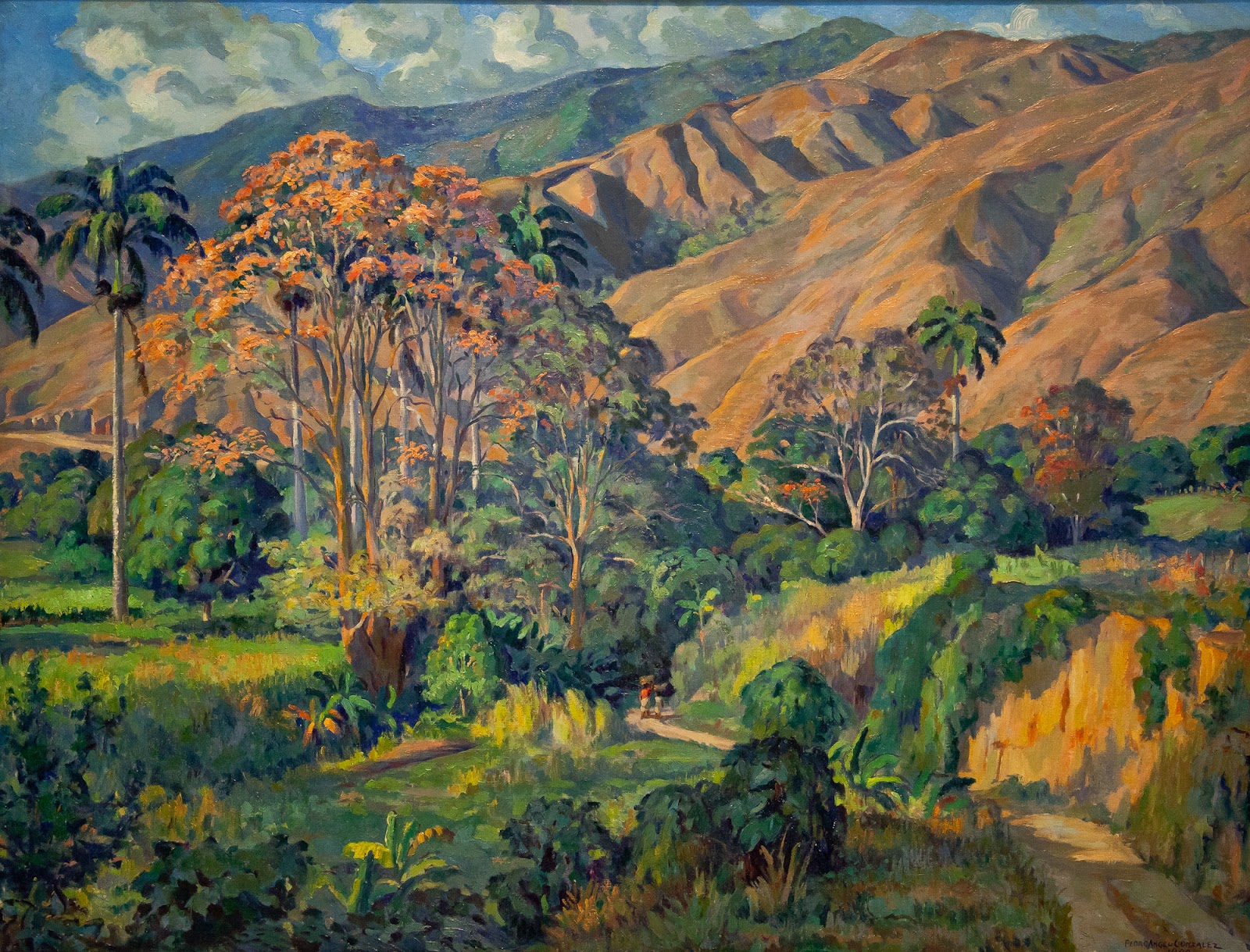 “Lo variable, lo luminoso” de Pedro Ángel González / MACZUL