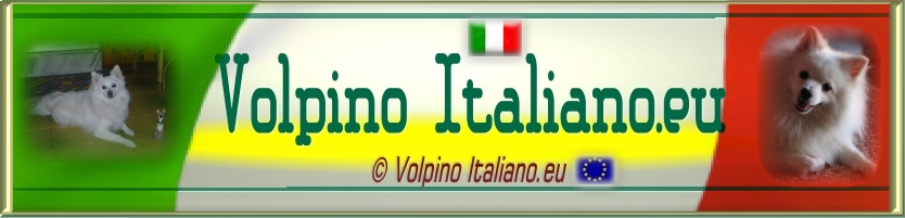 Volpino Italiano.eu [Blog]