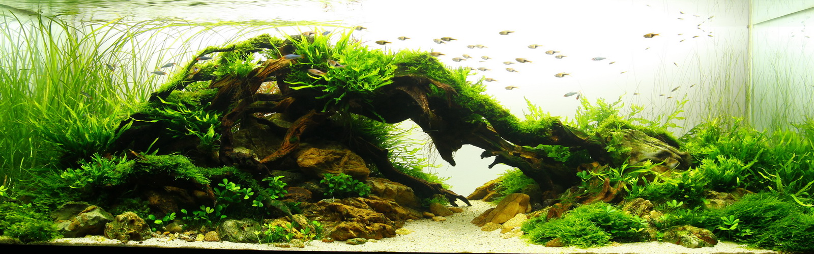 aquascape-submersible-pond-filter.jpg