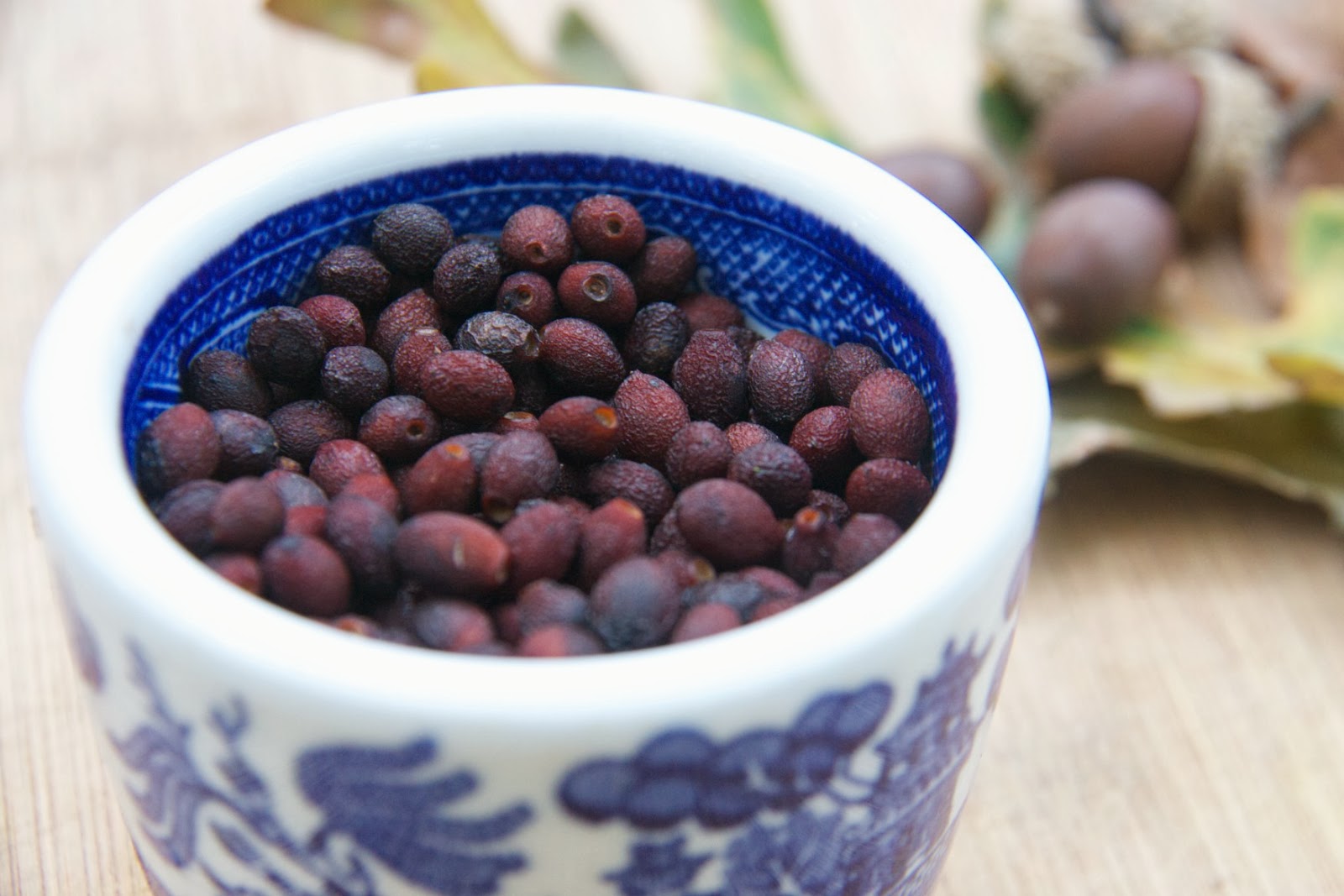 Down & Dirty acorn & spicebush jelly