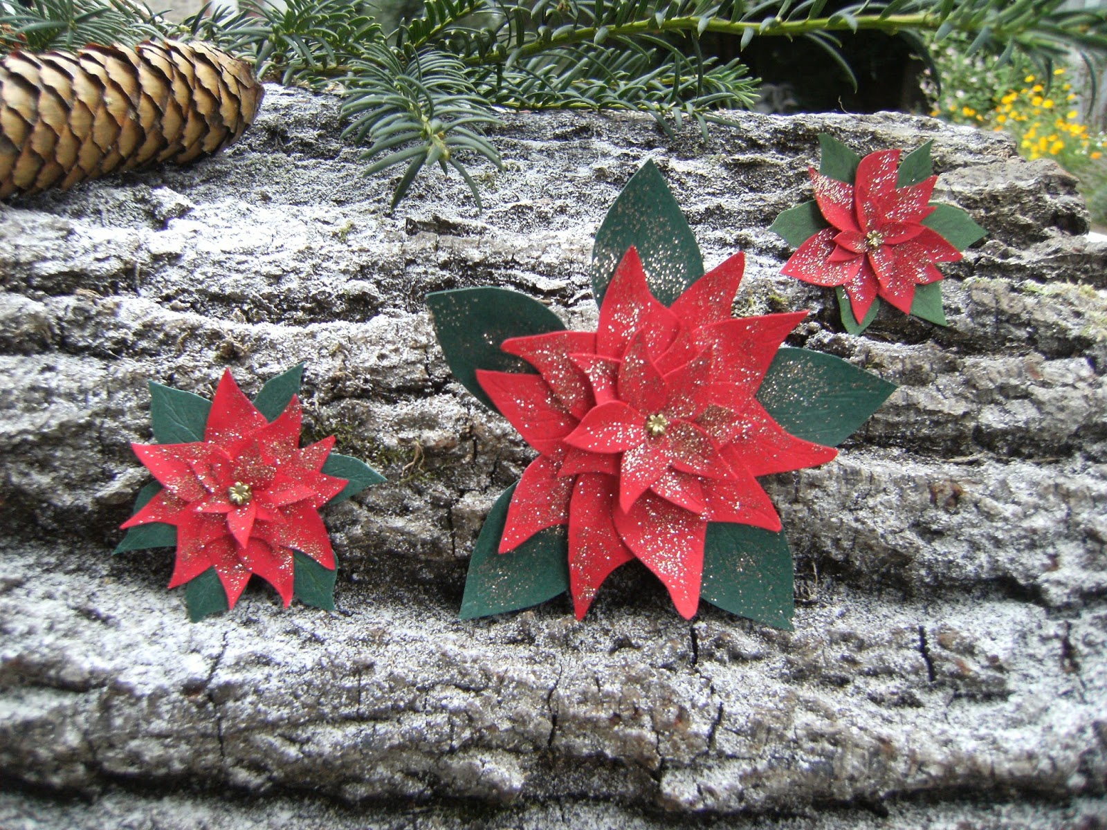 Au Pays D Ombeline Poinsettia Ou Etoile De Noel