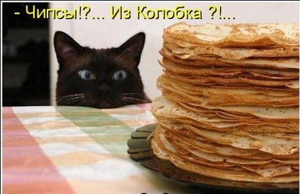 ������� ����� �24