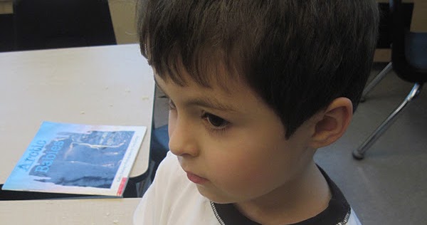 The Wonderful World of Kindergarten: Arctic Animals