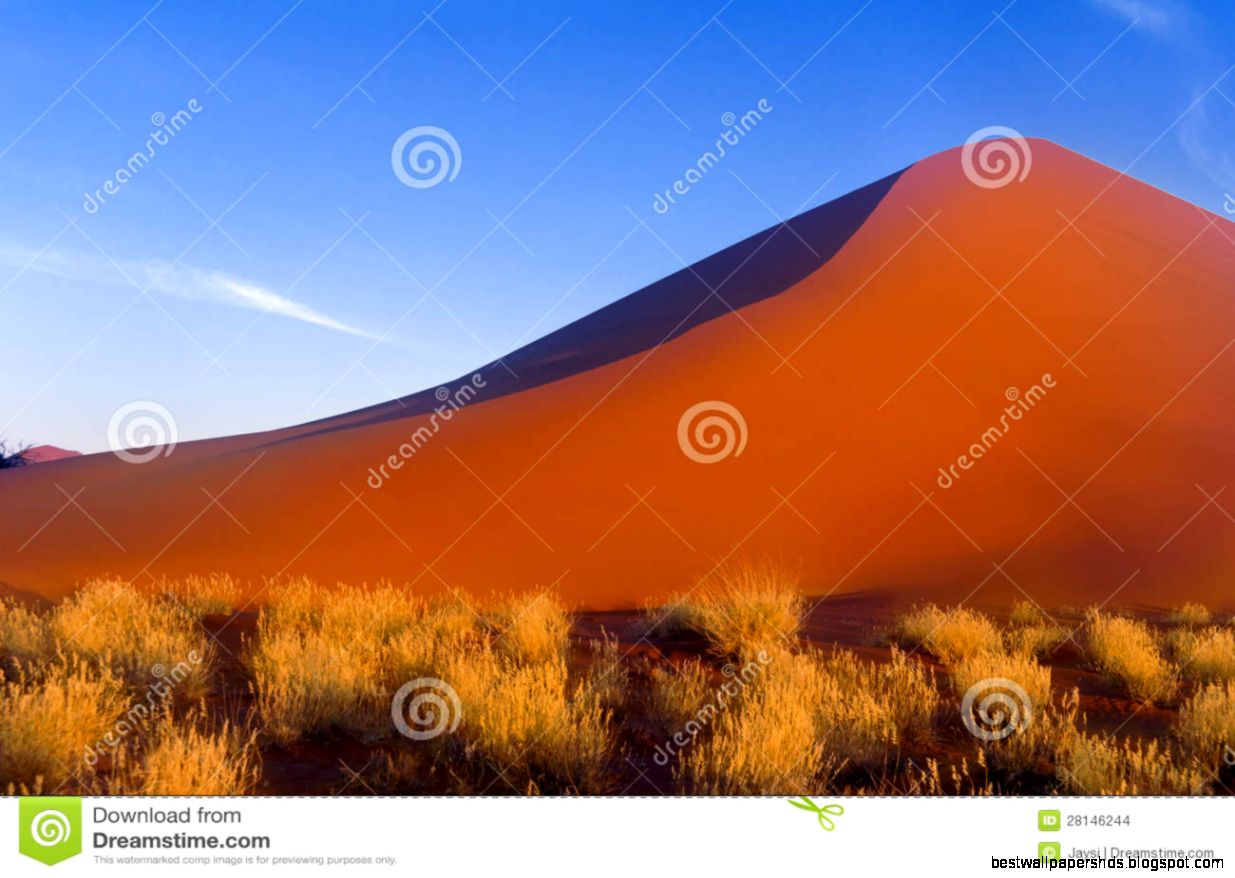 South Africa Namib Desert South Africa Namib Desert