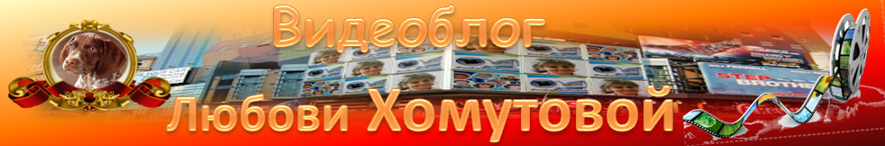 Видео блог  онлайн  от Любови Хомутовой