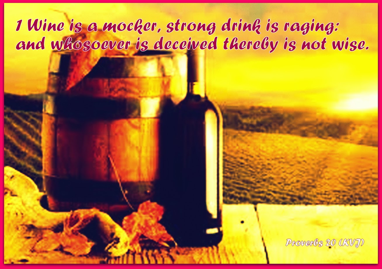 Red Pill Diaries Proverbs 20 (KJV)