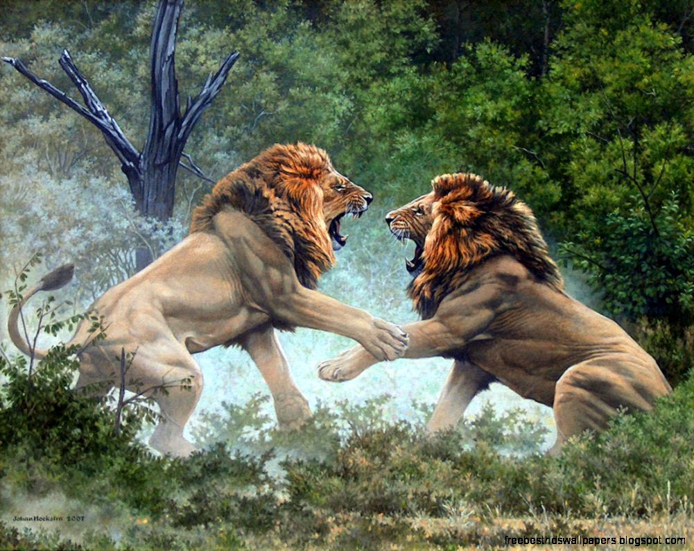 Wildlife Artists Lion Painting Wildlife Artists Lion Painting