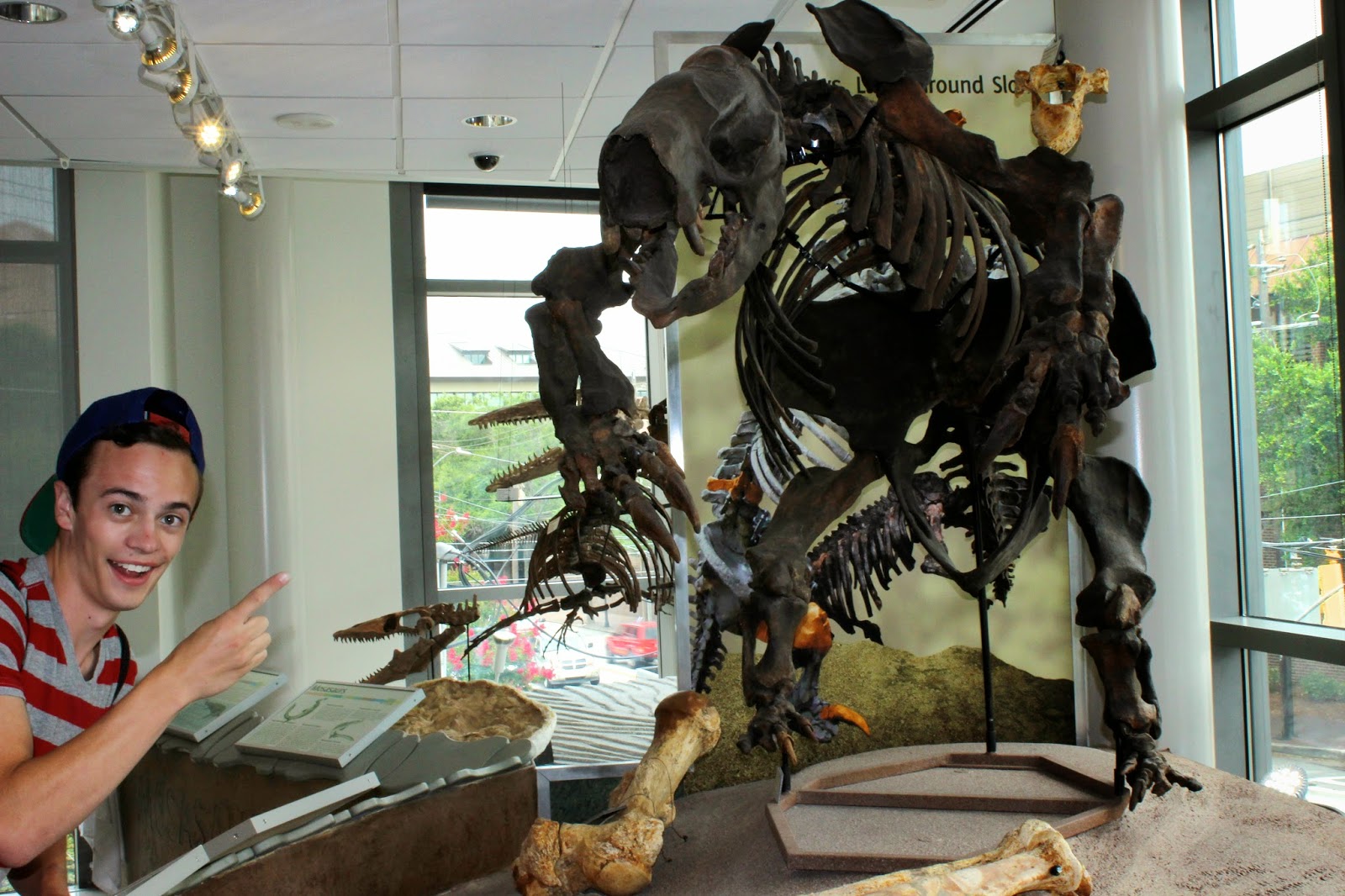 The Natural World The Mace Brown Museum of Natural History