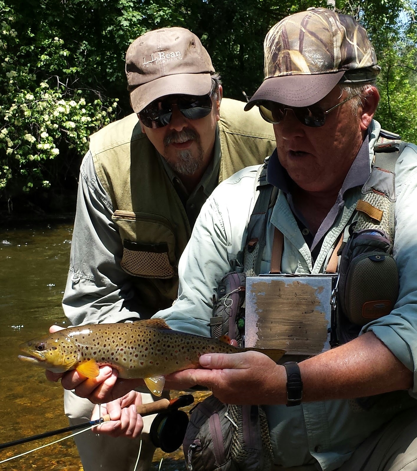 Vermont Fly Fishing Vermont Trout Fishing