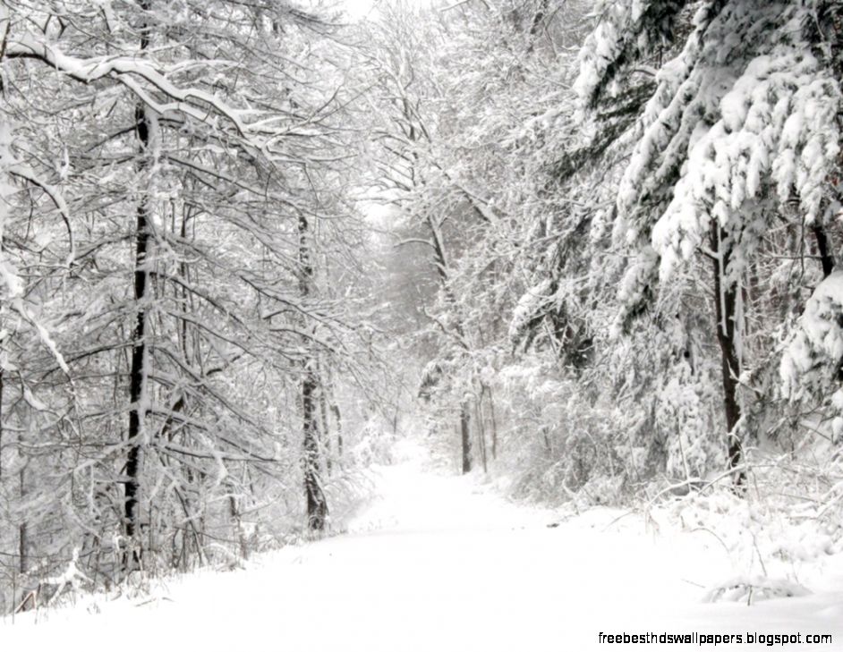 Snow Path Wallpaper Winter Nature Wallpapers in jpg format for Snow Path Wallpaper Winter Nature Wallpapers in jpg format for