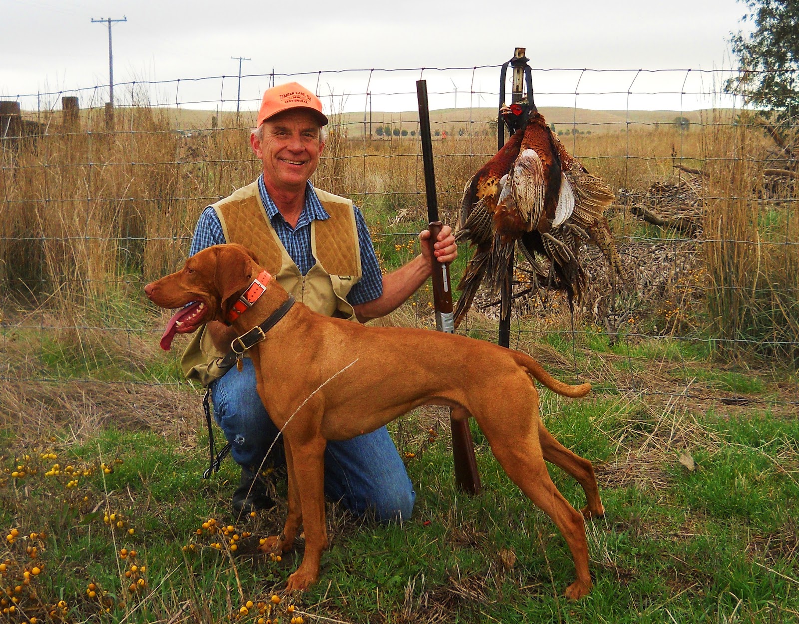redbirddog a hungarian pointer (vizsla) blog Never Criticize a Man's
