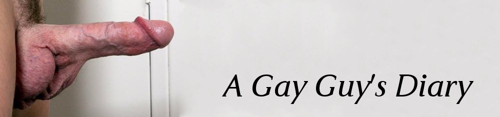 A Gay Guy's Diary