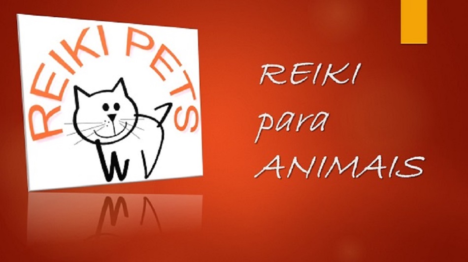 Reiki para Animais - Reiki Pets