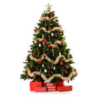 Sejarah Pokok Pine Dihias Pada Hari Krismas