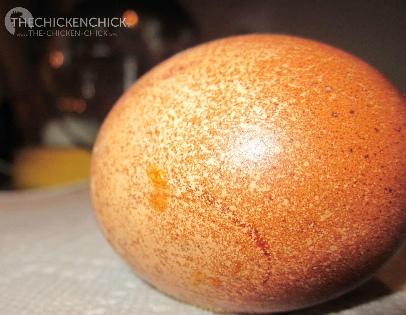 Bad Egg in the incubator a Ticking Time Bomb. The Chicken Chick®