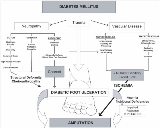 Perjalanan Panjang Ulcus Diabetic