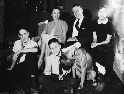 Mitt Romney Dog