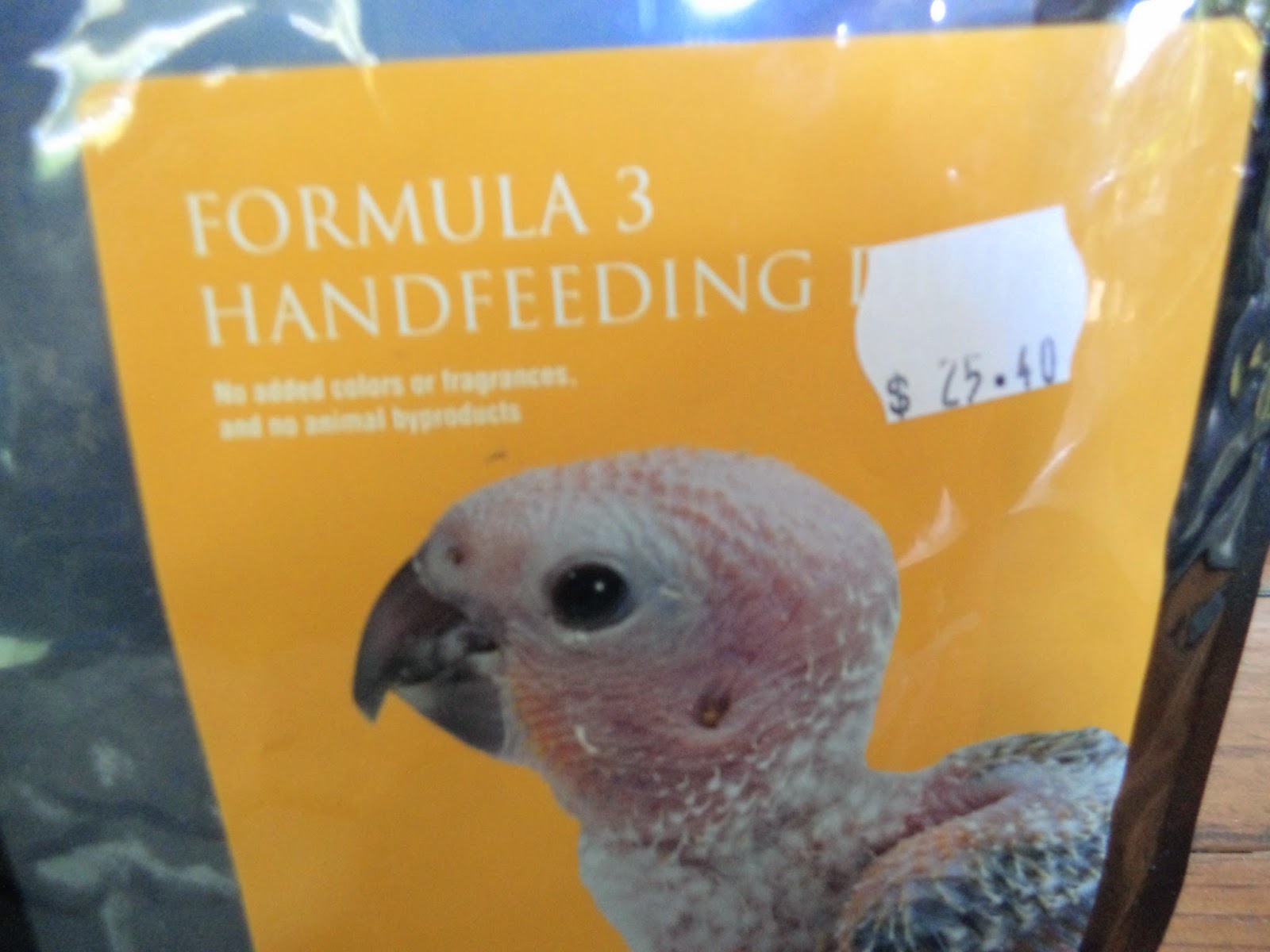 How to force feed a sick chicken...!?