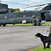 Helikopter AU Singapura "CHINOOK" Mendarat Di Lanud Supadio