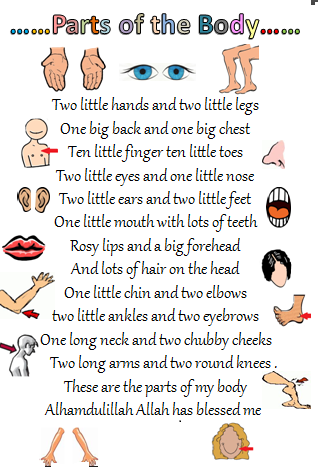BODY PART SONGS And RHYMES