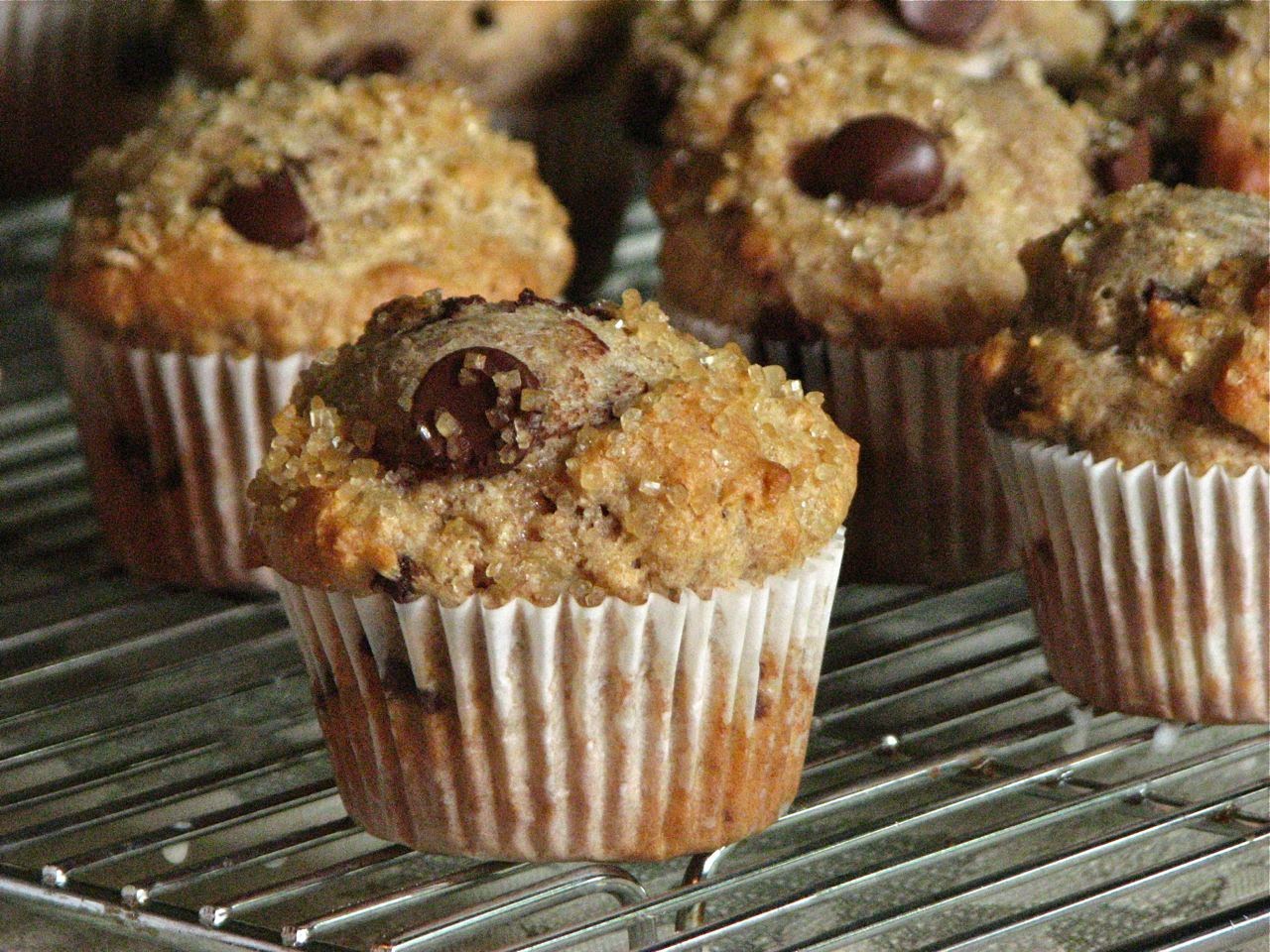 Delectably Mine Whole Wheat Chocolate Chip Muffins