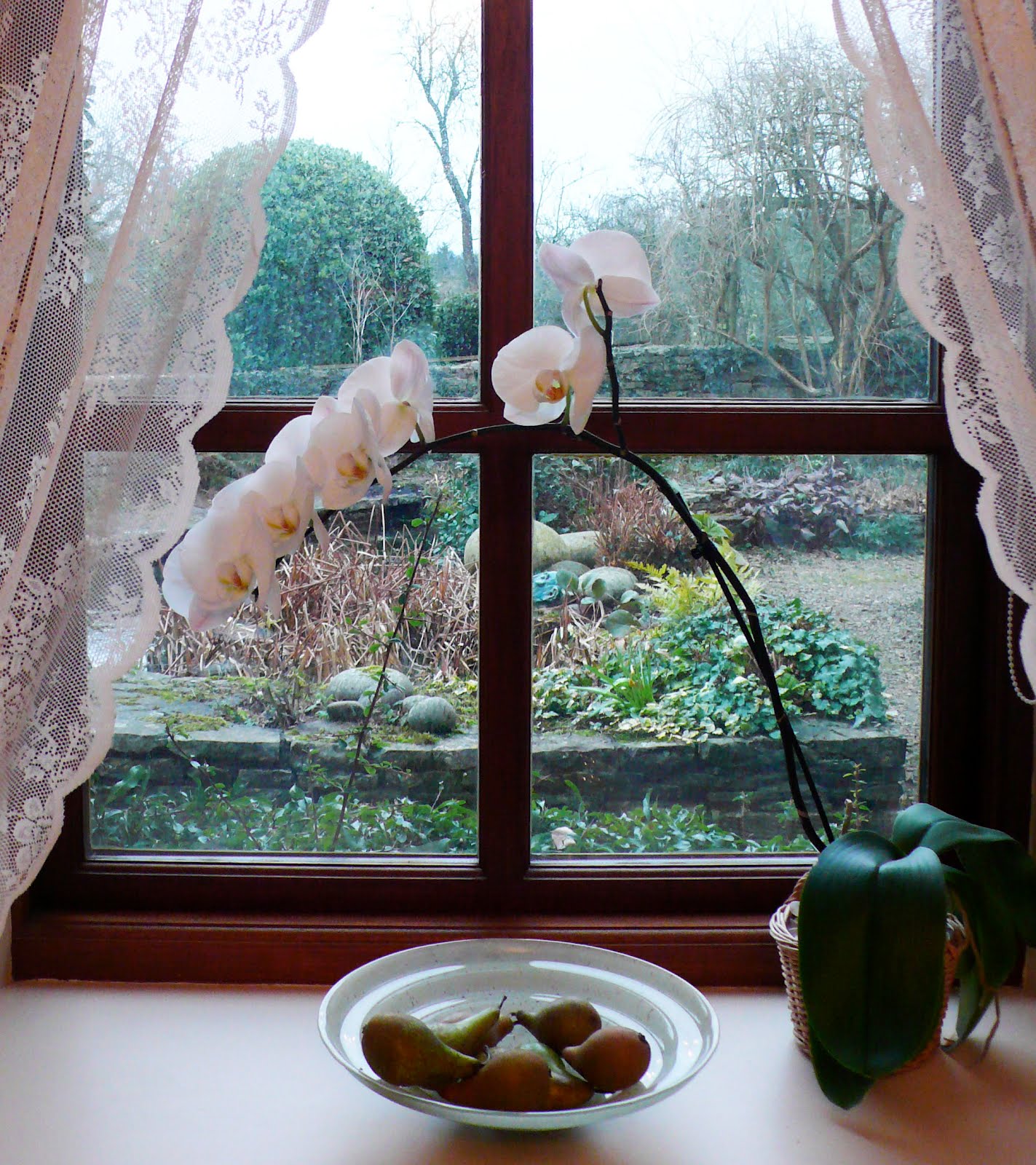 Share my Garden Flowers in the house