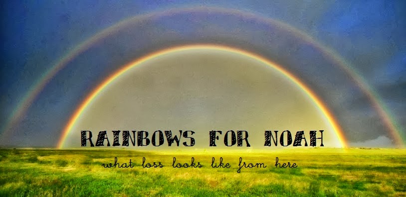 Rainbows for Noah