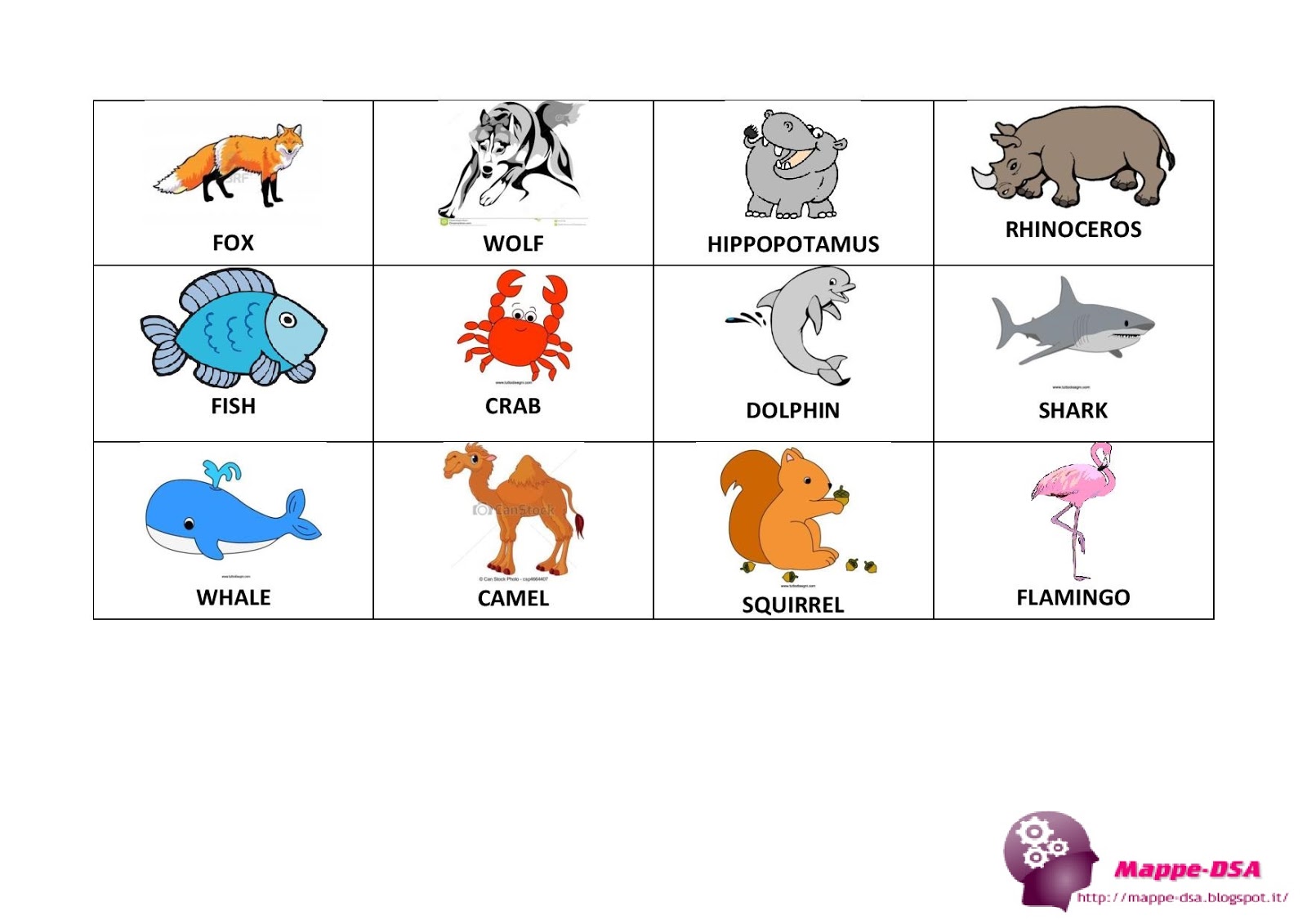 FLASH CARDS ANIMALS