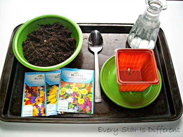 Planting Flower Seeds