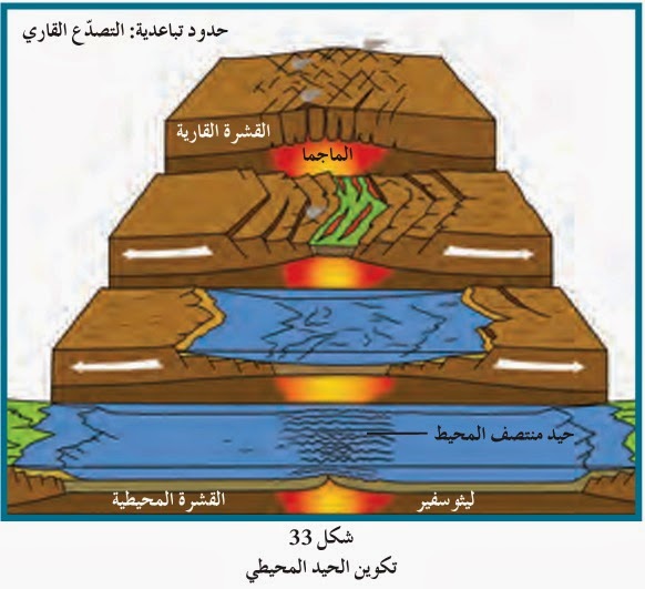 والبراكين فيم تتشابه الزلازل حل الوحدة