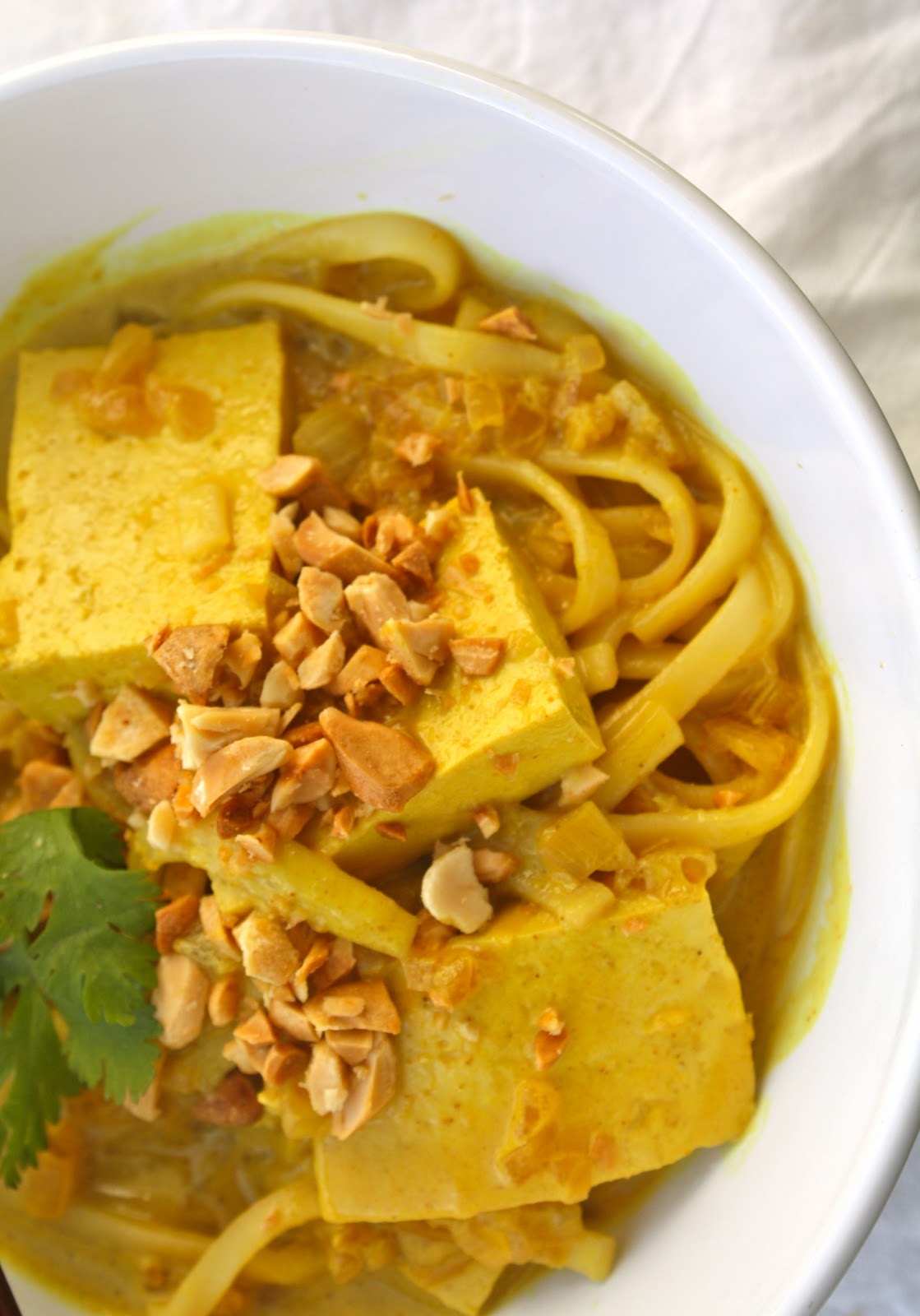 Sparrows & Spatulas Big Pot Udon Curry and a little tour of South