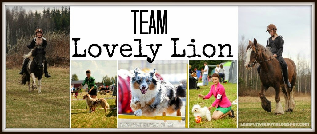 Team Lovely Lion