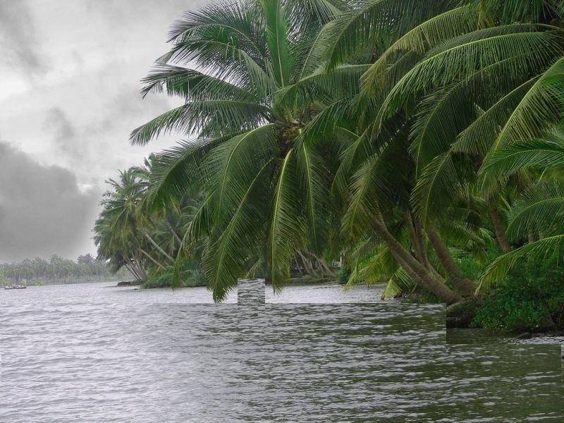 Kerala Monsoon Tour Packages Kerala Tourist Places Beautiful Places