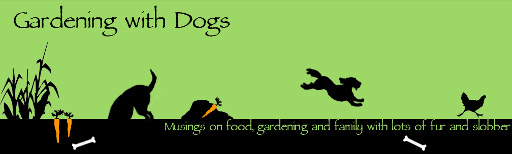 Gardening With Dogs