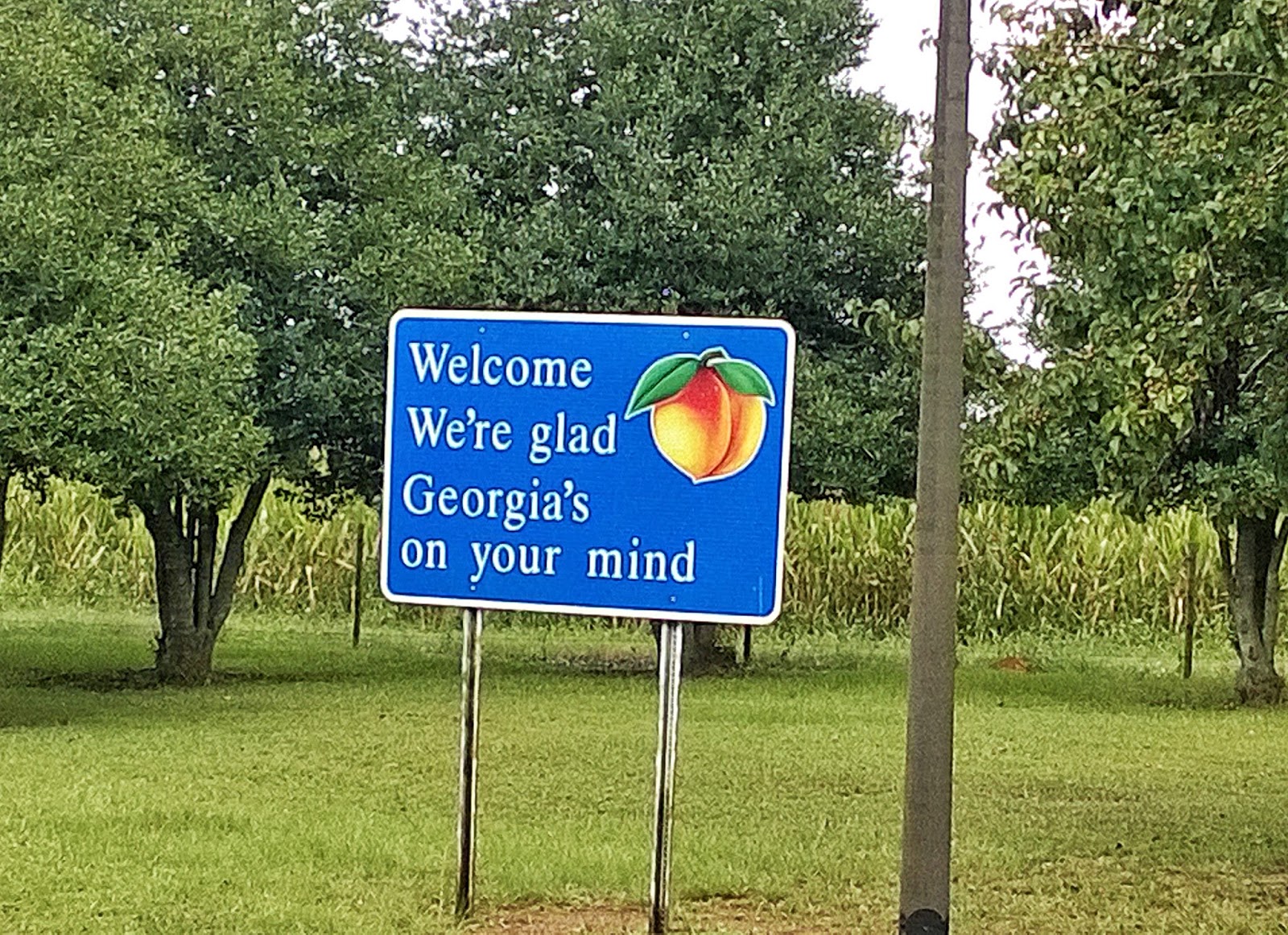 Use My Camera Visiting Plains, GA