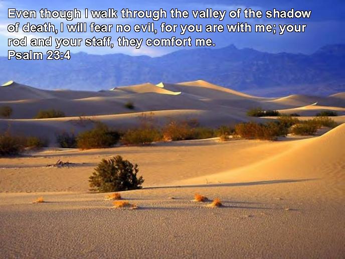 Bible Quotes | Psalm 23:4 jesus quotes on peace. Bible Quotes | Psalm 23:4