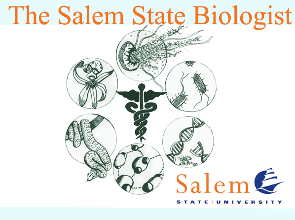 The Salem State Biologist