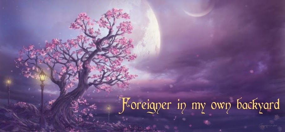 Foreigner in my own backyard